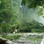 damage