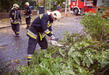 AEGON: 300 millió forintot meghaladó kárt okozott a hétvégi Nárcisz szélvihar