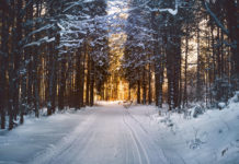 Téli regék: hideg időjárás várható a jövő héten is