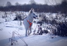 Várható időjárás az ország területén szombat estig