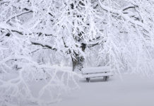 Hideg napok jönnek, Szemedre fagynak a könnyek
