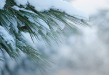 A hazai hegyekben néhol már harminccentis hó van