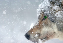 Akár mínusz 10 fok is lehet a leghidegebb helyeken