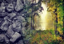 Kivonul a széniparból és 3,5 milliárd dollárt fordít zöld beruházásokra Generali