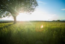 A hétvégén is folytatódik a meleg, napsütéses idő