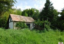 Csúcson a balatoni nyaralók iránti kereslet, mutatjuk a legolcsóbbakat