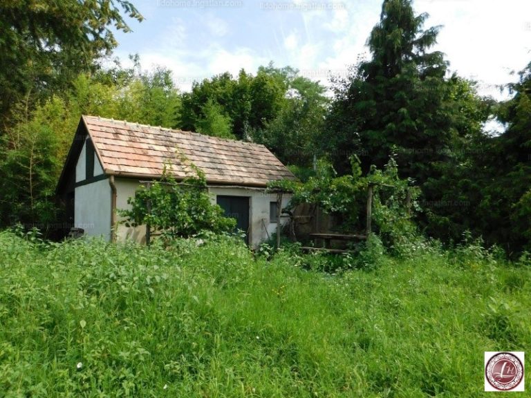 Csúcson a balatoni nyaralók iránti kereslet, mutatjuk a legolcsóbbakat
