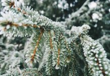 Már nagyon uncsi: Akár még hózáporok is lehetnek kedden