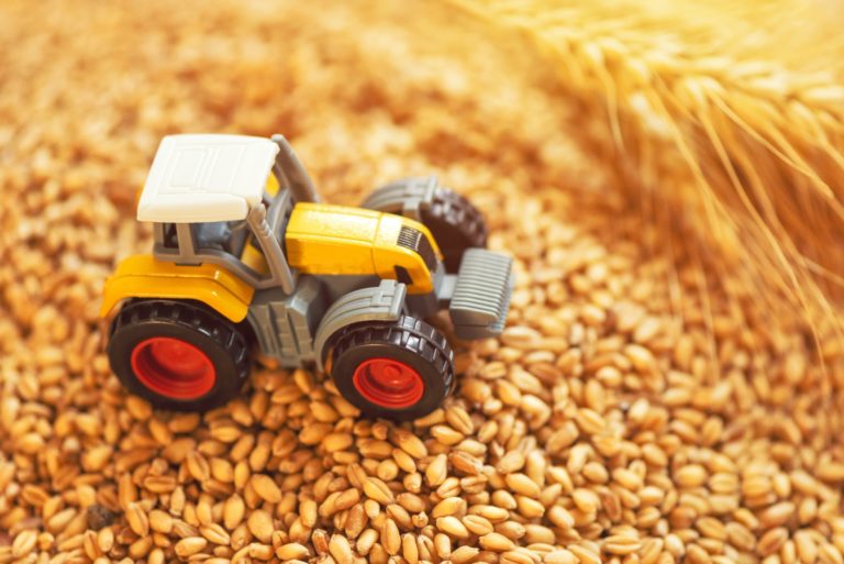 Agrárkárok: A rendkívüli időjárásnak komoly hatásai vannak a növénytermesztésre