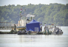 Újabb koreai áldozatot emeltek ki a Dunából, ezúttal Kulcsnál