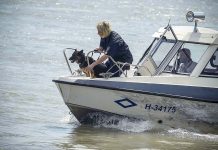 15 hajóval kutatja a Dunai hajóbalesetben eltűnt emberket a rendőrség