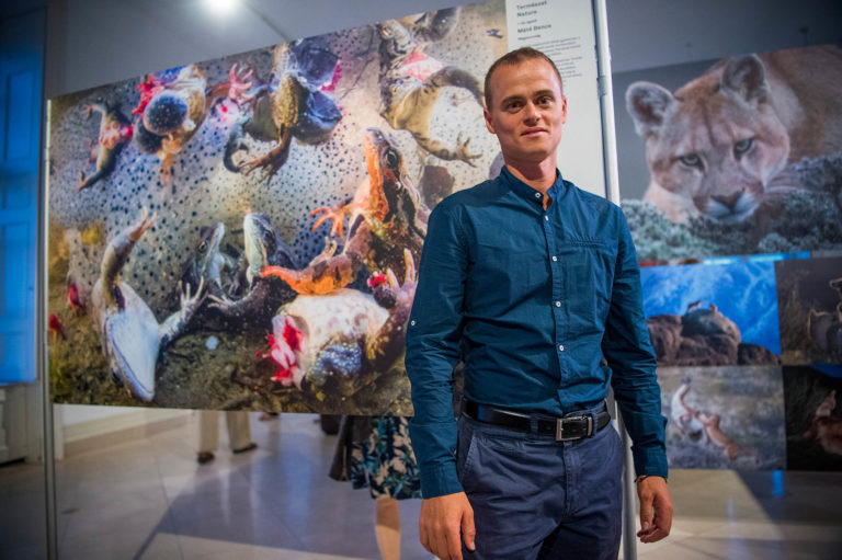 „Túlélési ösztön” és más mélyenszántó témák: Megnyílt a World Press Photo kiállítás
