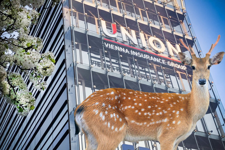 UNION Biztosító: 6 aranyszabály CASCO biztosítások kötéséhez