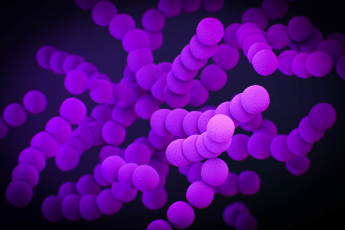virus