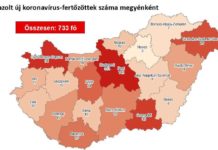 733-ra nőtt a fertőzöttek száma, 2 idős beteg meghalt Magyarországon