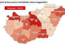 744-re nőtt a beazonosított fertőzöttek száma, 4 beteg elhunyt Magyarországon