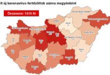 1310 beazonosított fertőzött és 8 új halott szombat reggelre Magyarországon