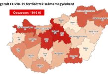 Közel 2000 regisztrált fertőzöttből 784-et ápolnak kórházban vasárnap reggel