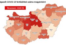 Meghalt 12 krónikus beteg, 2443-ra nőtt az azonosított fertőzöttek száma