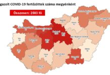 2583-ra nőtt a fertőzöttek száma, 8 beteg meghalt Magyarországon
