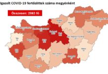 2863 azonosított fertőzött és 11 halott május 1-én reggel Magyarországon