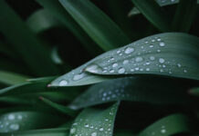 Vízből nincs hiány: Az első félévben 20 százalékkal több eső esett a szokásosnál