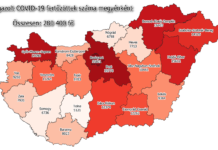 181 halott és 4153 beazonosított vírus-fertőzött vasárnap reggelre