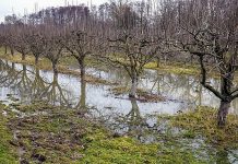 Belvíz: Sokfelé van készültség, de még nőhet az elöntött területek nagysága
