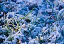 Brrrr: Megdőlt a hidegrekord hajnalban