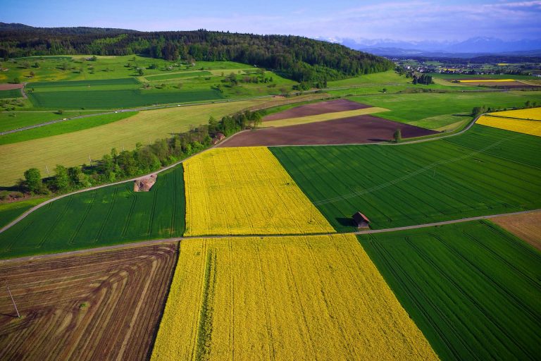 FBAMSZ: A héten lejár az agrárbiztosítási díjtámogatások igénylésének határideje