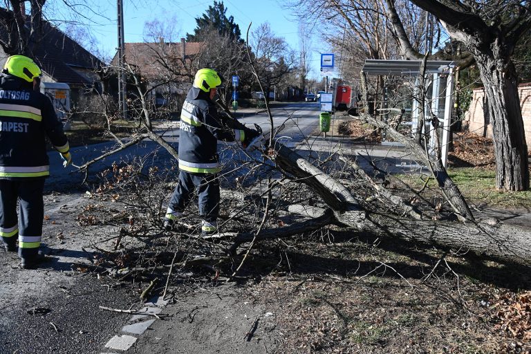 Katasztrófavédelem: Házak váltak lakhatatlanná az erős szél miatt