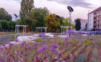 Elő a telefonokkal: Már látogatható Budapest első levendulaparkja