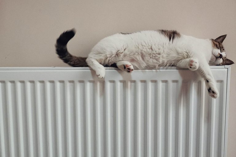 Mennyivel tette tudatosabbá az ingatlanvásárlókat a dráguló energia?