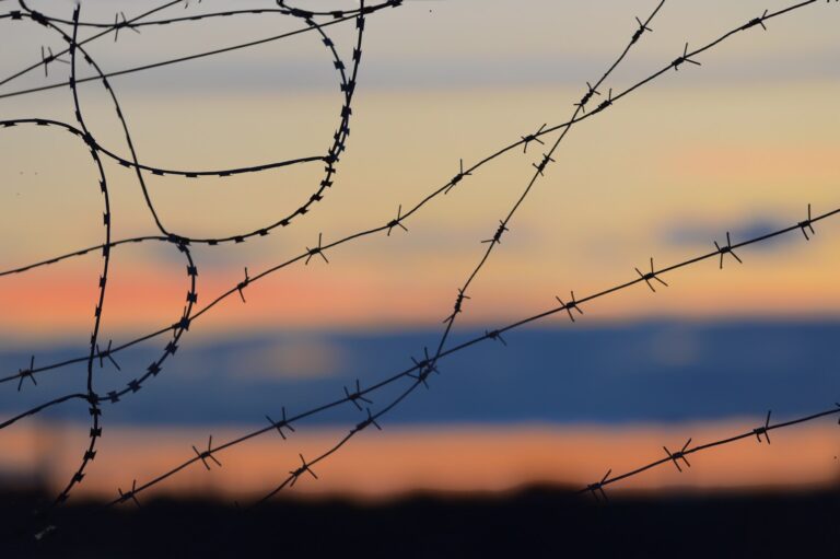 Kiolvasztották a vérkonzerveket – Előre tájékoztatták a németeket a készülő orosz támadásról