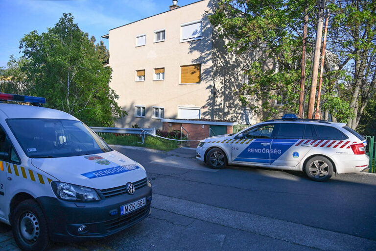 Halál a Rózsadombon: Meggyilkoltak egy idős nénit a főváros II. kerületében