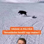 17983922080820521_biztositomagazin.hu_